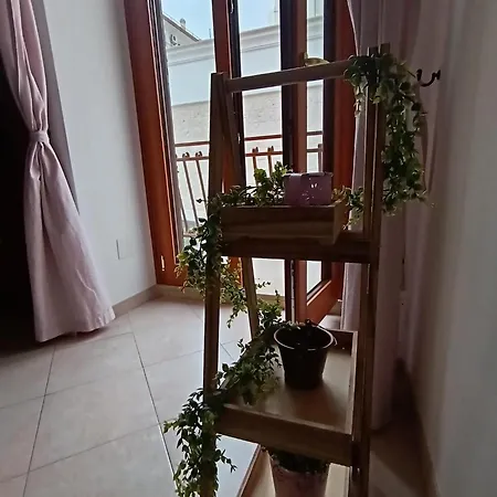 Stella House Apartmán Fasano